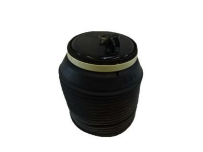 Lexus Air Suspension Spring - 48090-60020