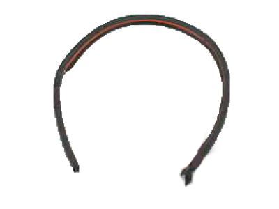 Lexus Weather Strip - 67896-60030