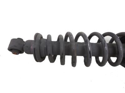 Lexus 48231-53030 Spring, Coil, Rear