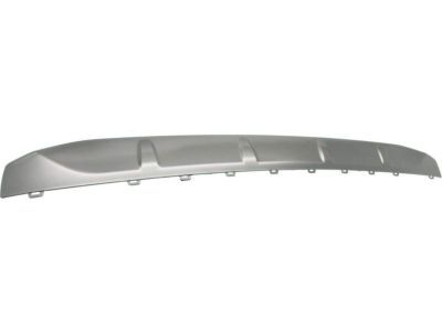 Lexus 53122-0E070 Moulding, Radiator Grille