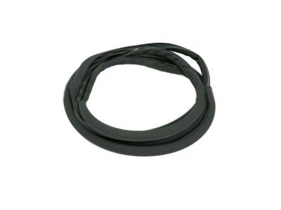 Lexus GS Turbo Weather Strip - 63251-30100