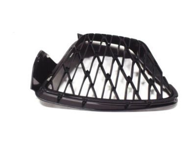 Lexus 53142-24050 Garnish, Radiator Grille