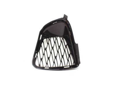 Lexus 53142-24050 Garnish, Radiator Grille