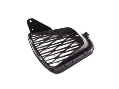 Lexus 53142-24050 Garnish, Radiator Grille