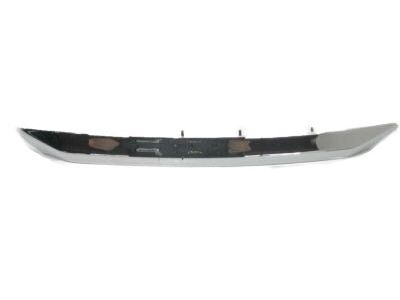 Lexus 76825-48050 Protector, Back Door Outside Garnish