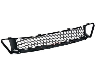 Lexus 53113-53020 Grille, Radiator, Lower