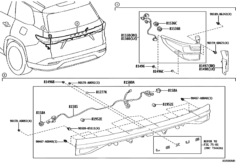 Lexus 81965-0E010 LED, SOCKET