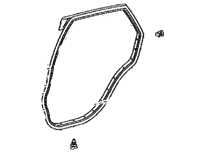 Lexus 67871-0E010 Weatherstrip, Rear Door, RH