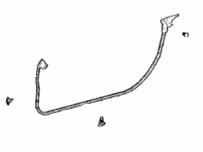 Lexus LC500 Weather Strip - 67862-11011