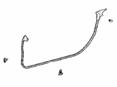 Lexus LC500h Door Seal - 67861-11010