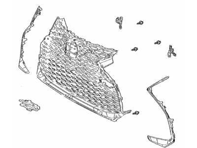 Lexus 53101-53A80 Grille Sub-Assembly, Rad