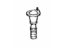 Lexus 48310-60030 Spring Assembly, Hollow