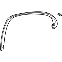 Lexus 67673-50060-E1 GARNISH, REAR DOOR FRAME, RH