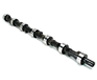 Lexus Camshaft