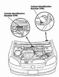 Lexus Vin Decoder >> Lexus Vin What Is Lexus Vin And Locations Of Lexus Vin Lexus Vin Decoder >> Lexus Vin What Is Lexus Vin And Locations Of Lexus Vin
